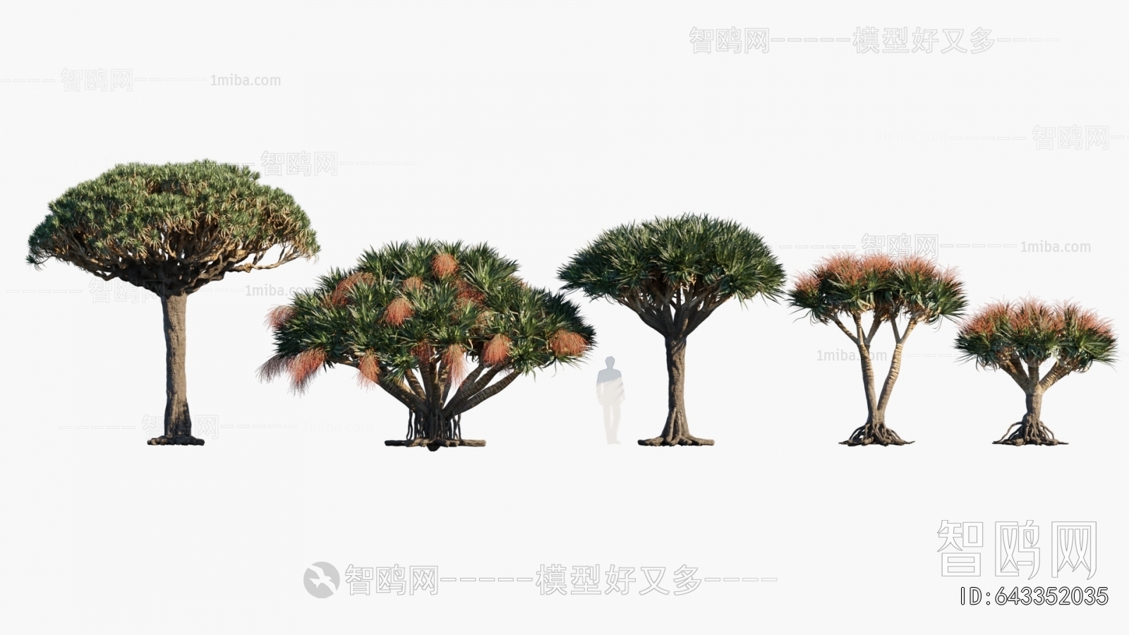 现代热带景观树组合