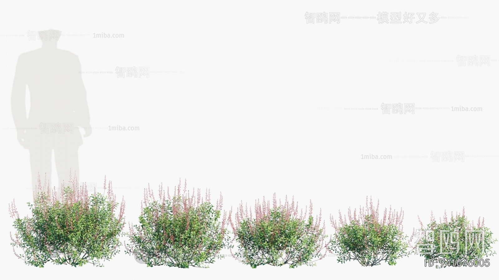 Modern Flowers And Grass