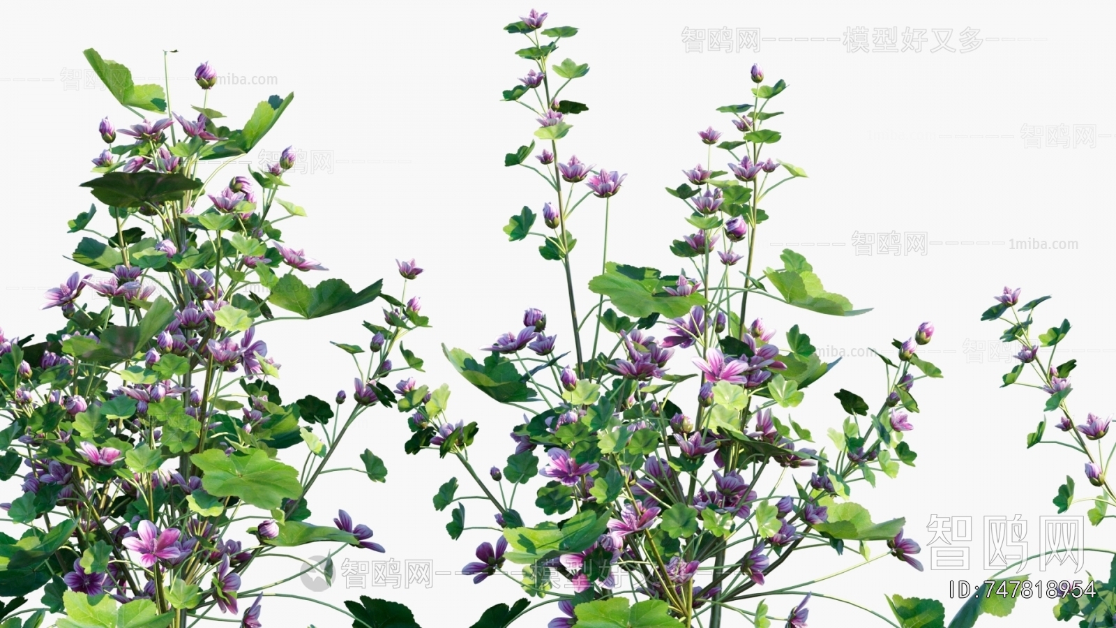 Modern Flowers And Grass