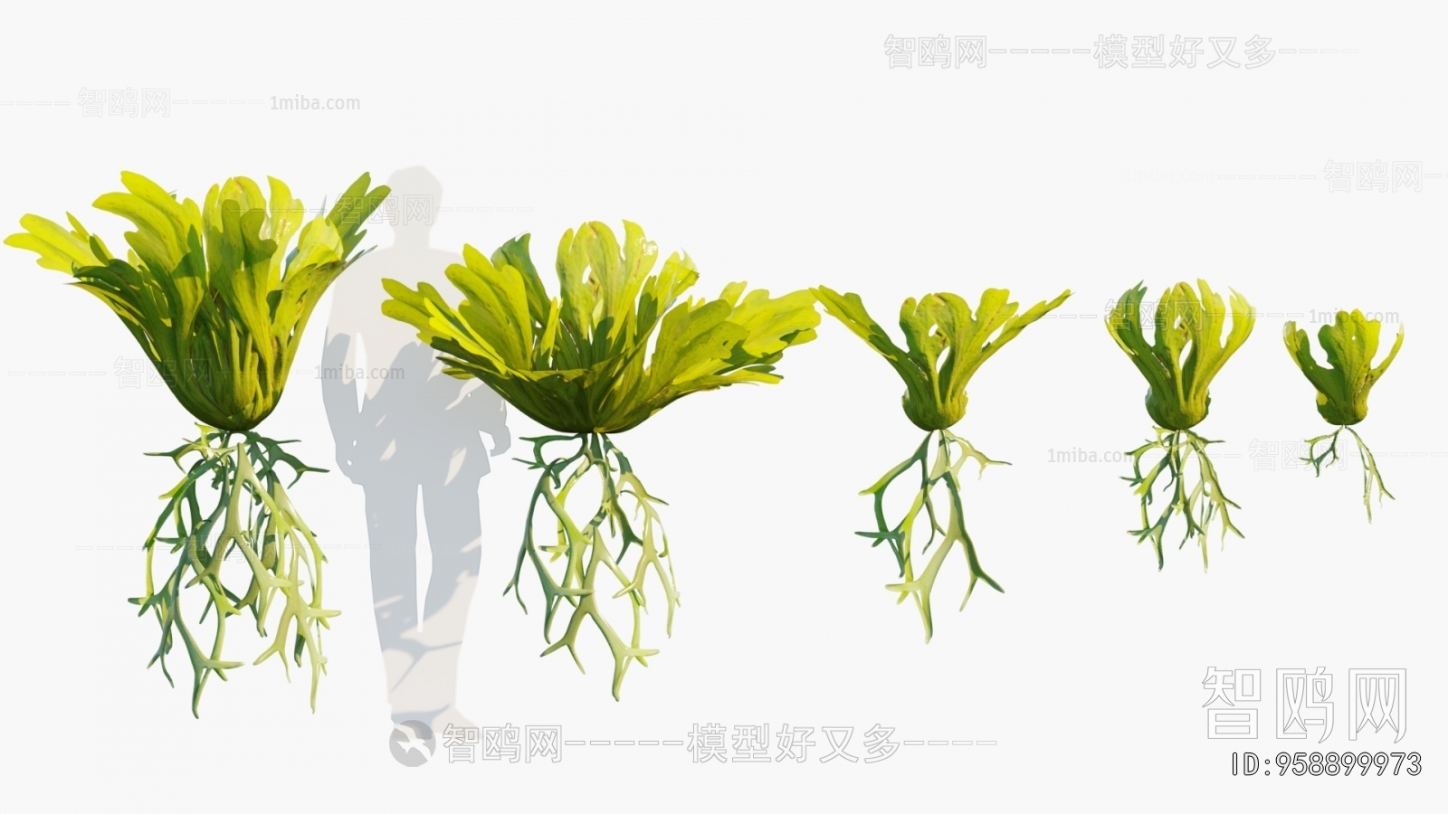 Modern Aquatic Green Plant