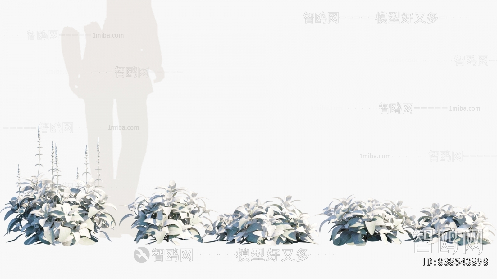 Modern Flowers And Grass