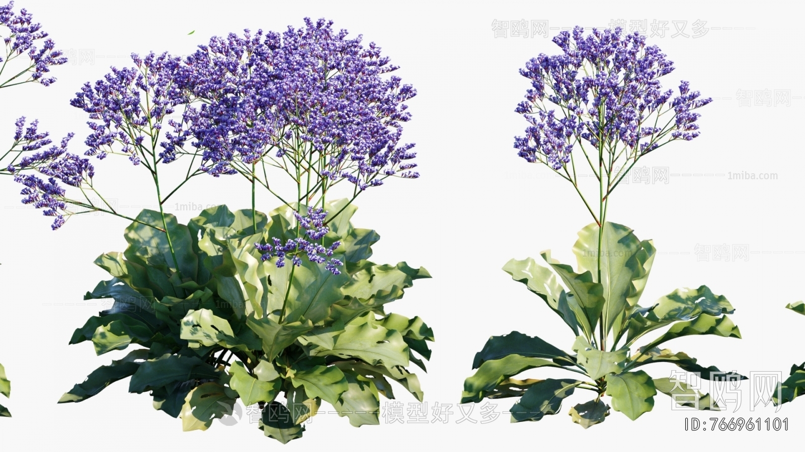 Modern Flowers And Grass