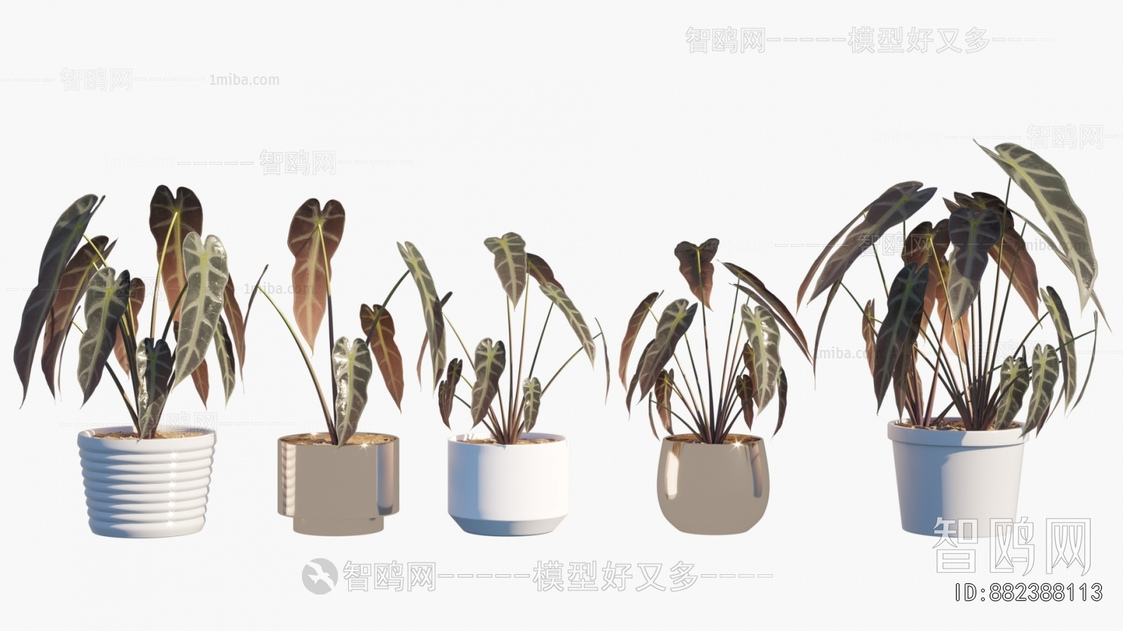 Modern Ground Green Plant Potted Plants