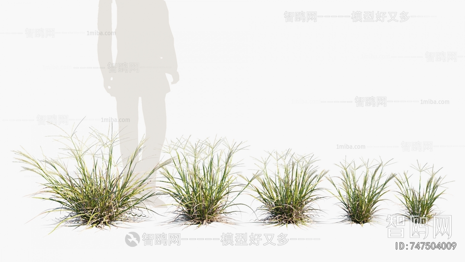 Modern The Grass