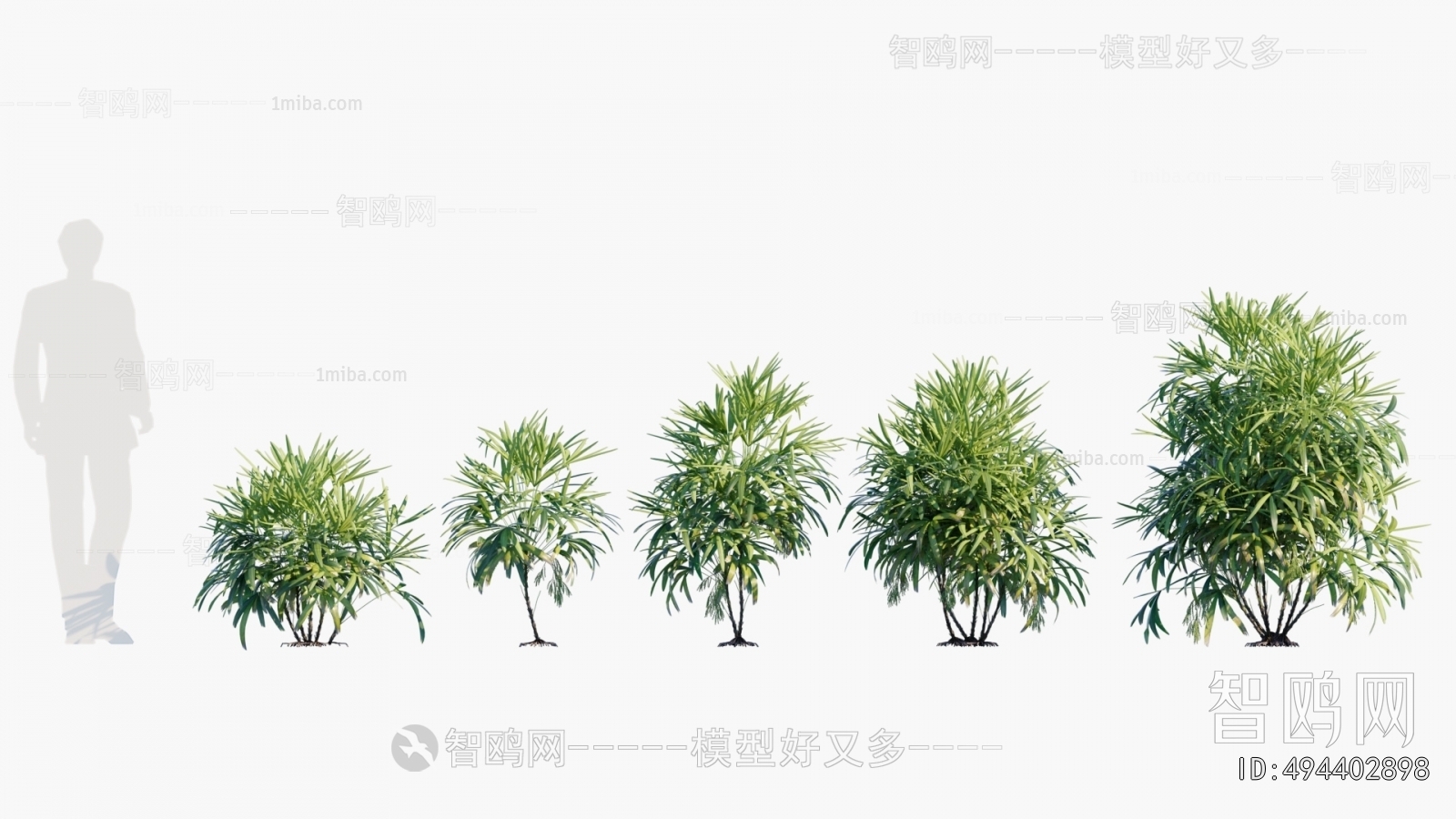 现代热带景观树组合