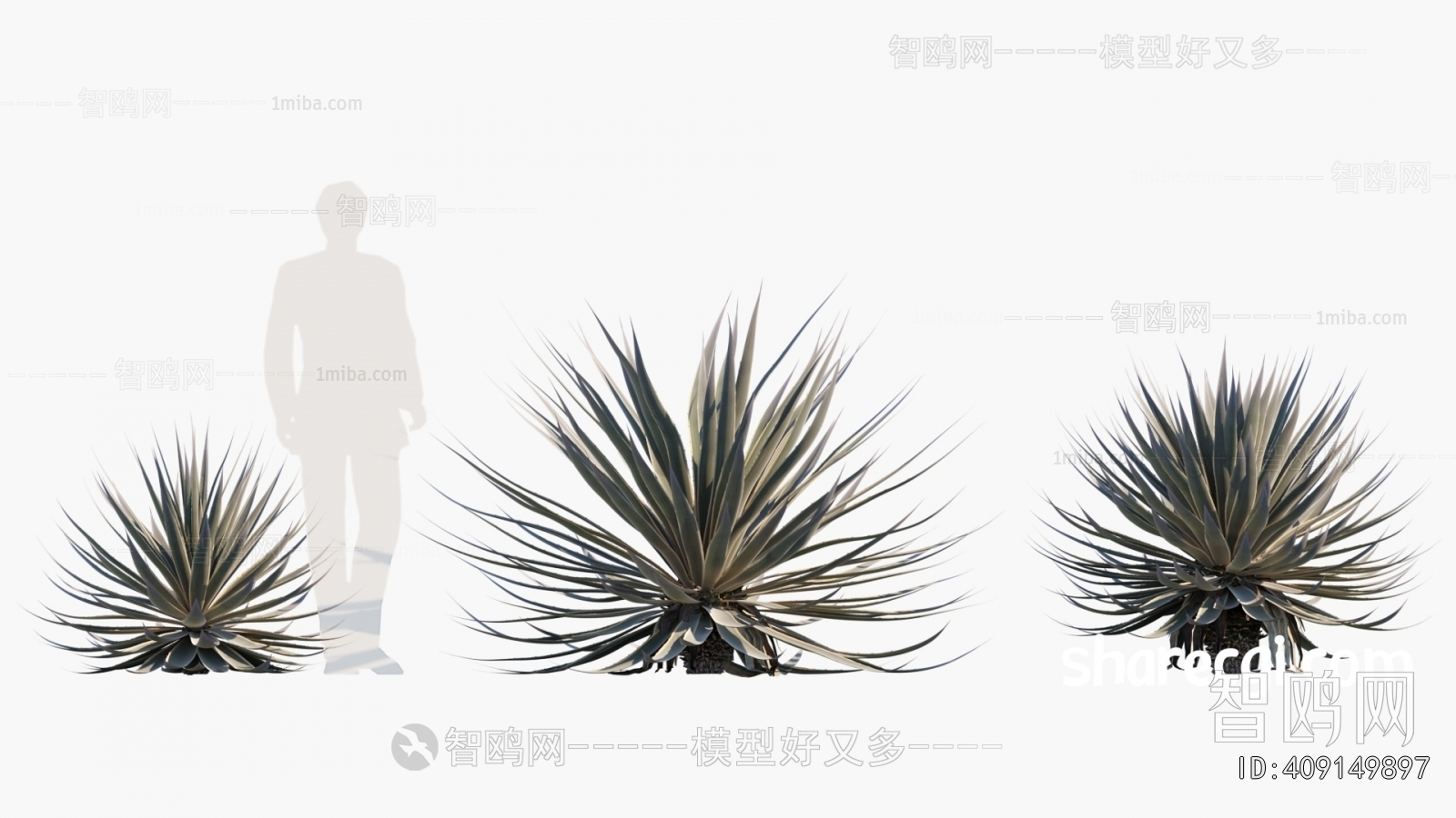 Modern Plant