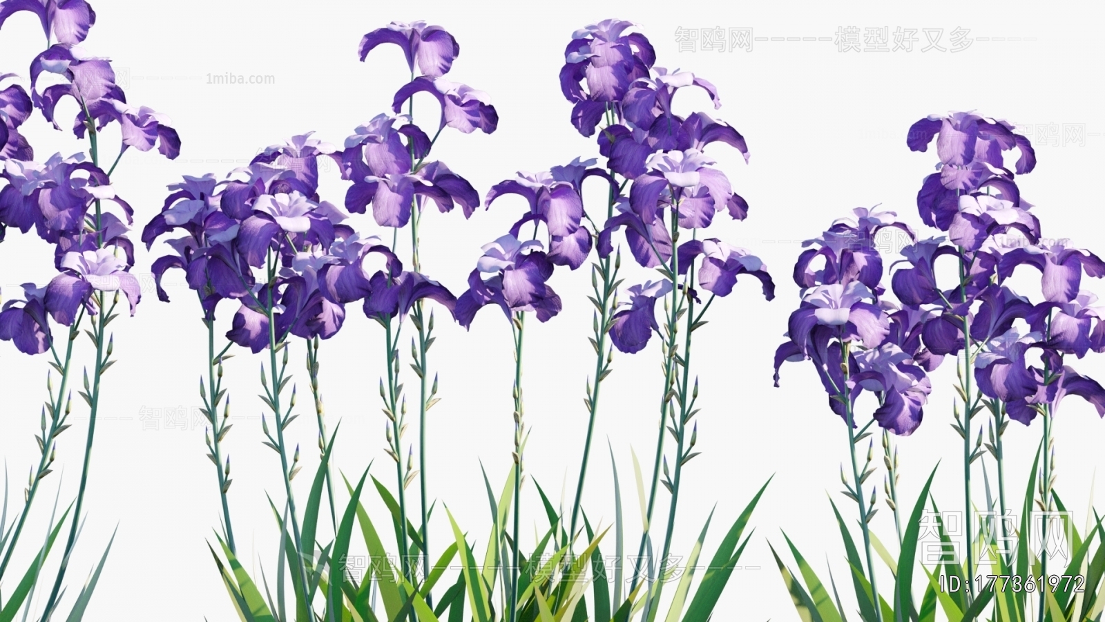 Modern Flowers And Grass