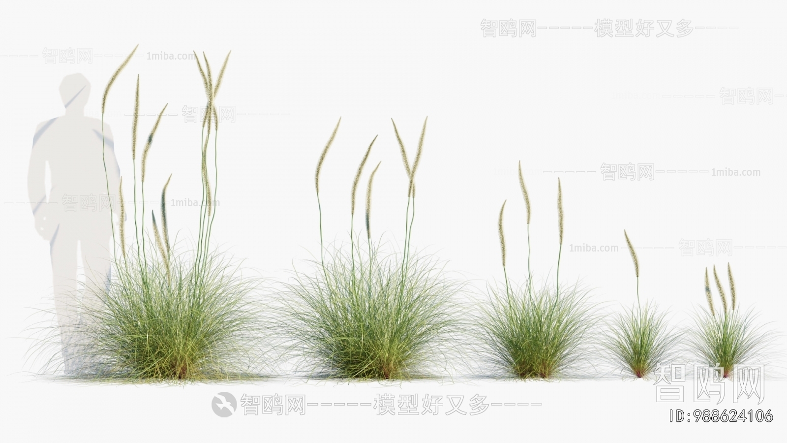 Modern The Grass