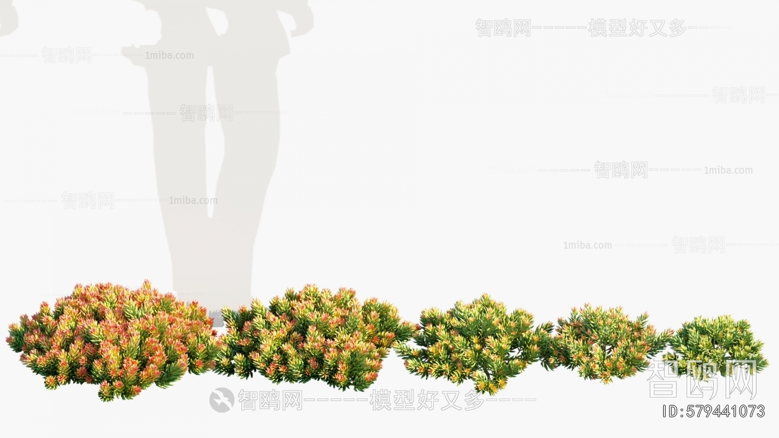 Modern Flowers And Grass