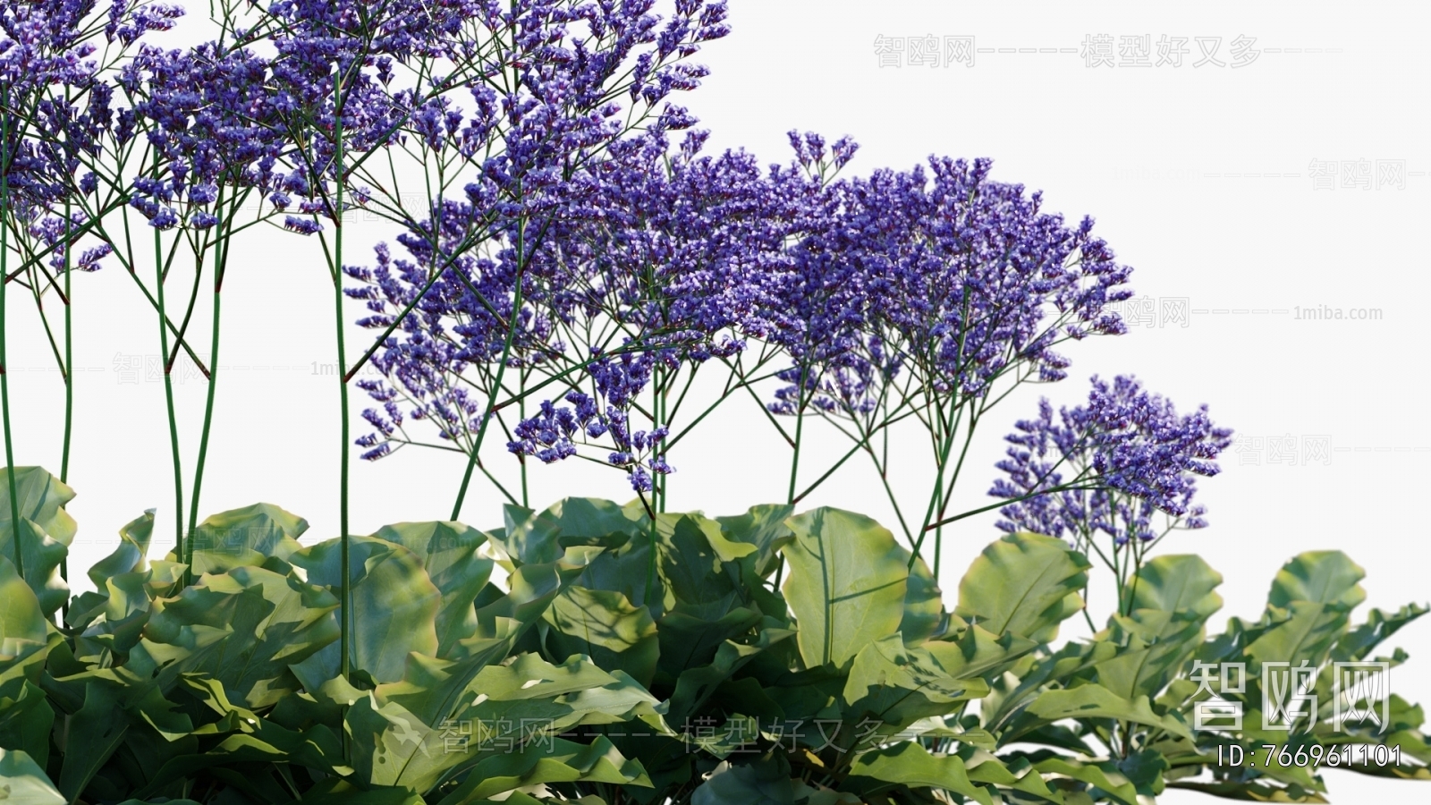 Modern Flowers And Grass