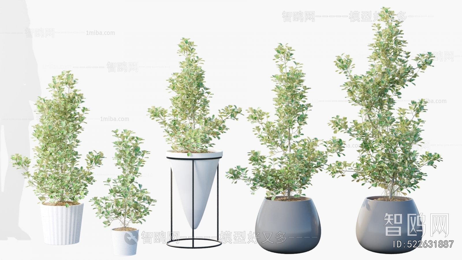 Modern Ground Green Plant Potted Plants