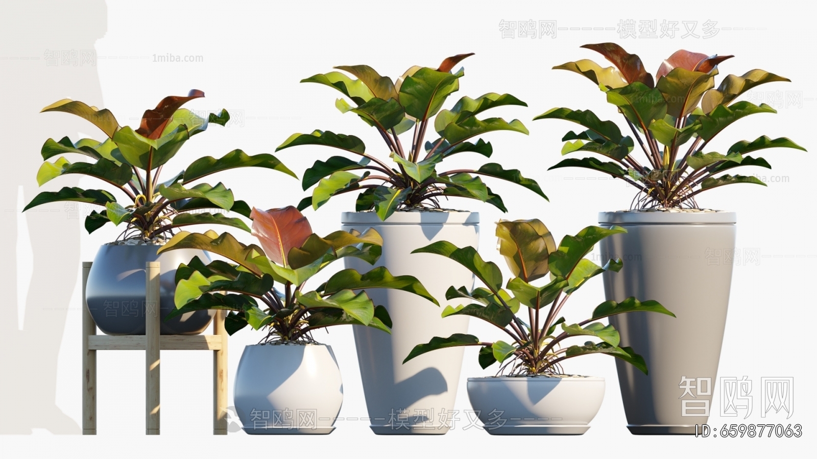 Modern Ground Green Plant Potted Plants
