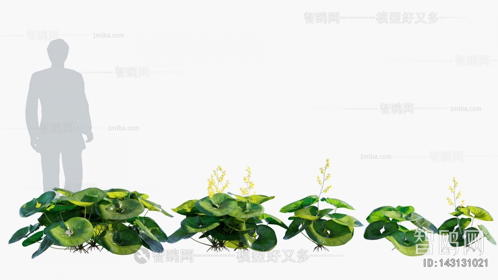 Modern Flowers And Grass