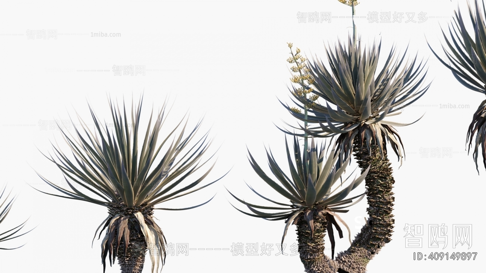 Modern Plant
