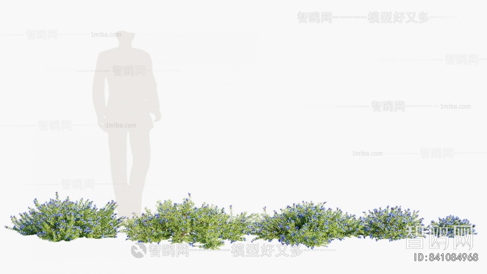 Modern Flowers And Grass