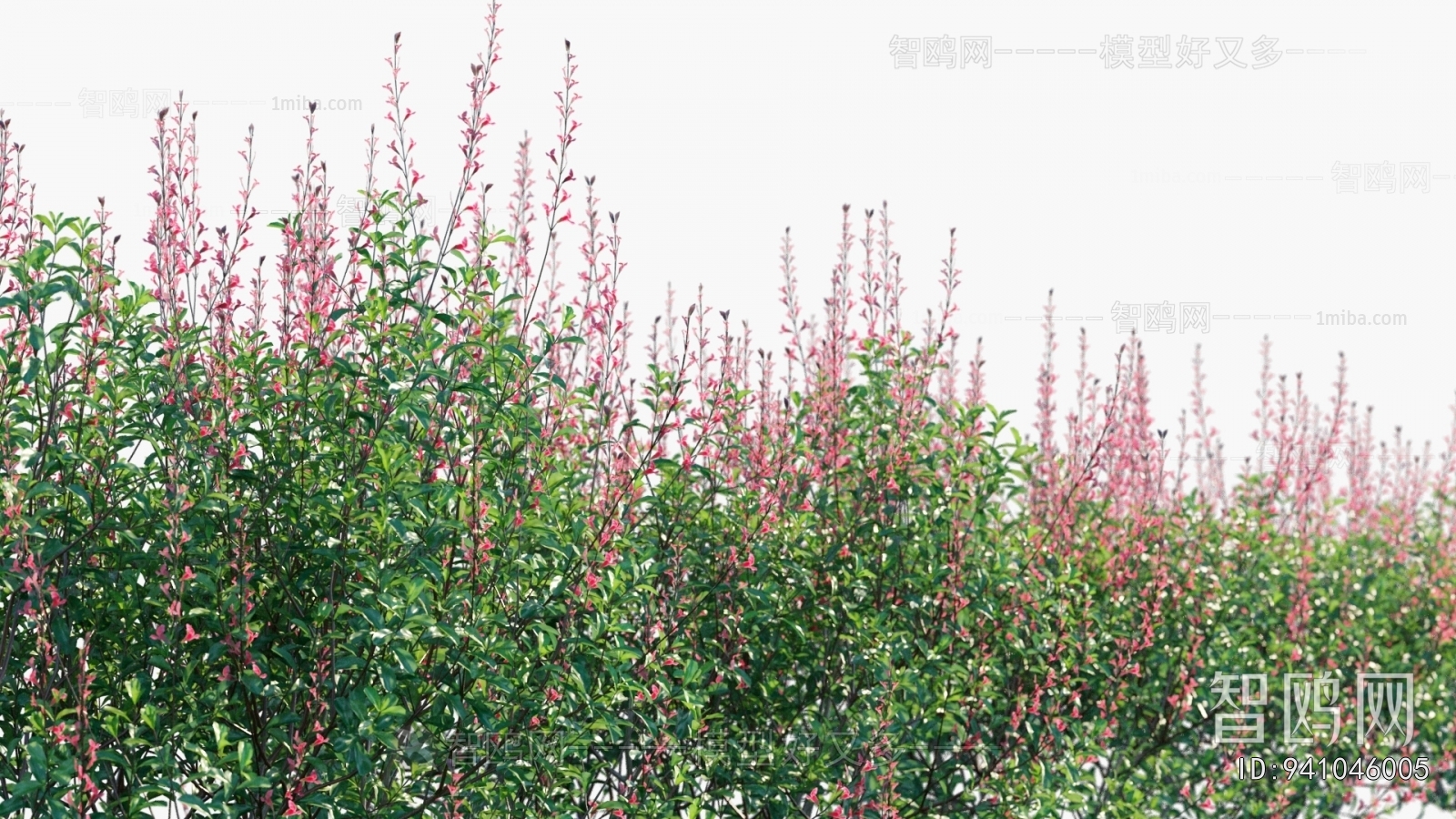 Modern Flowers And Grass