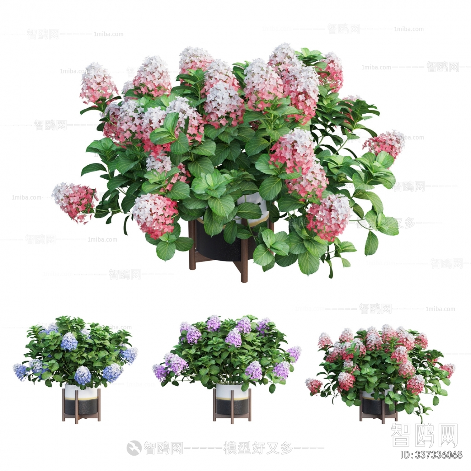 Modern Flowers And Grass