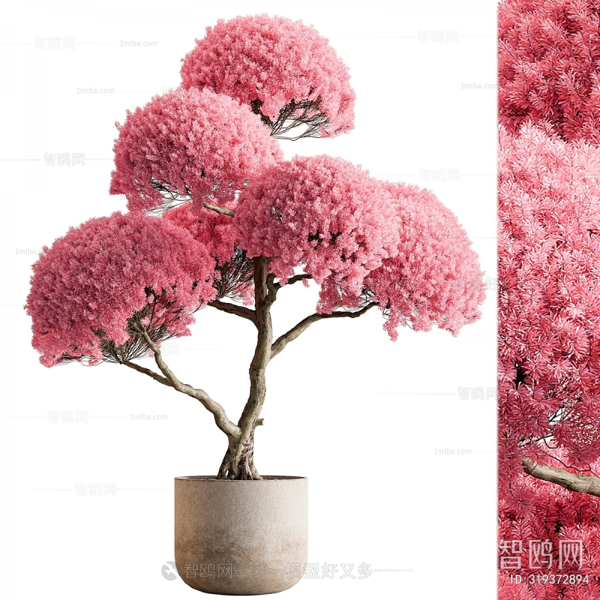 Modern Ground Green Plant Potted Plants