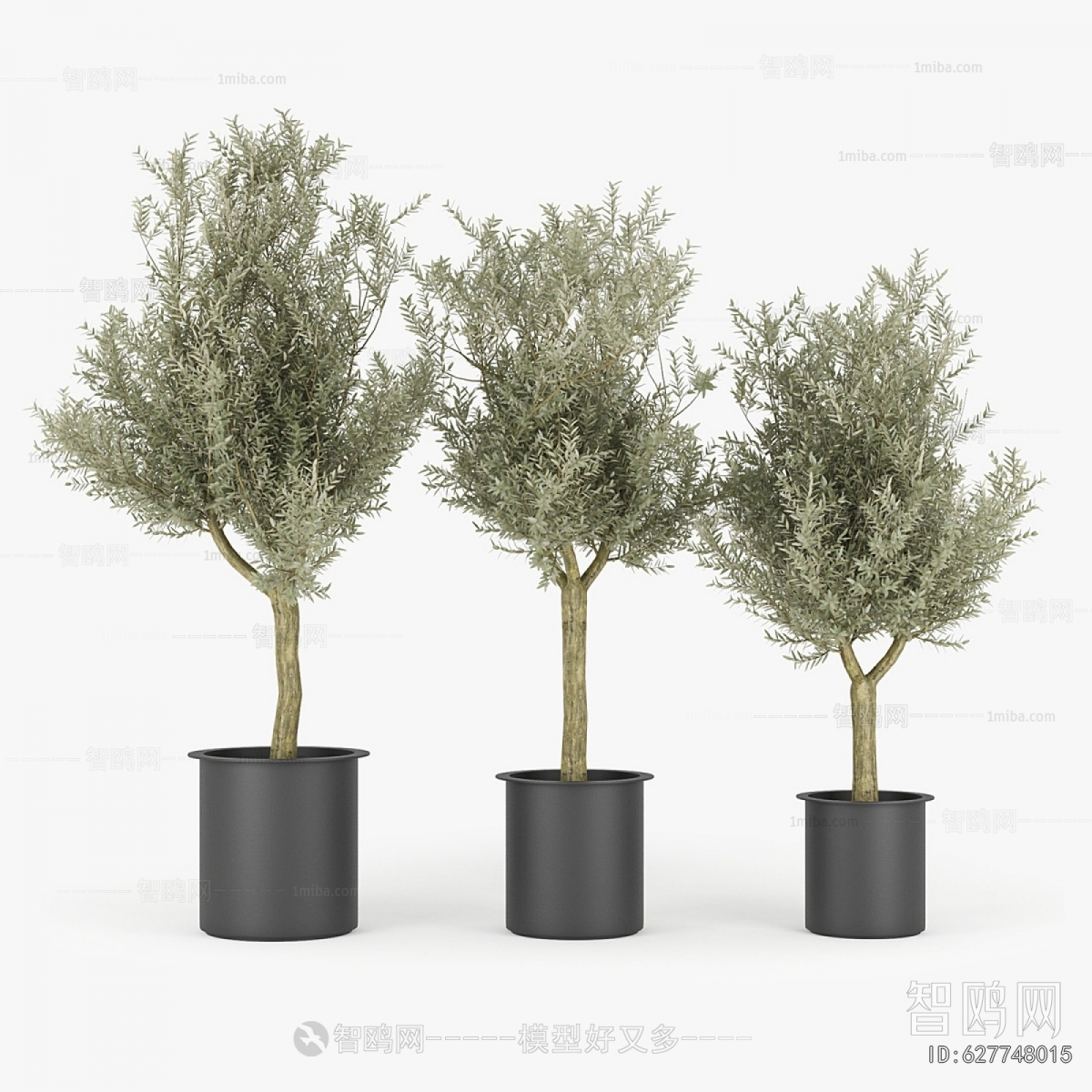 Modern Ground Green Plant Potted Plants