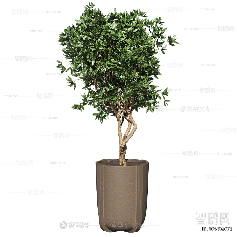 Modern Ground Green Plant Potted Plants