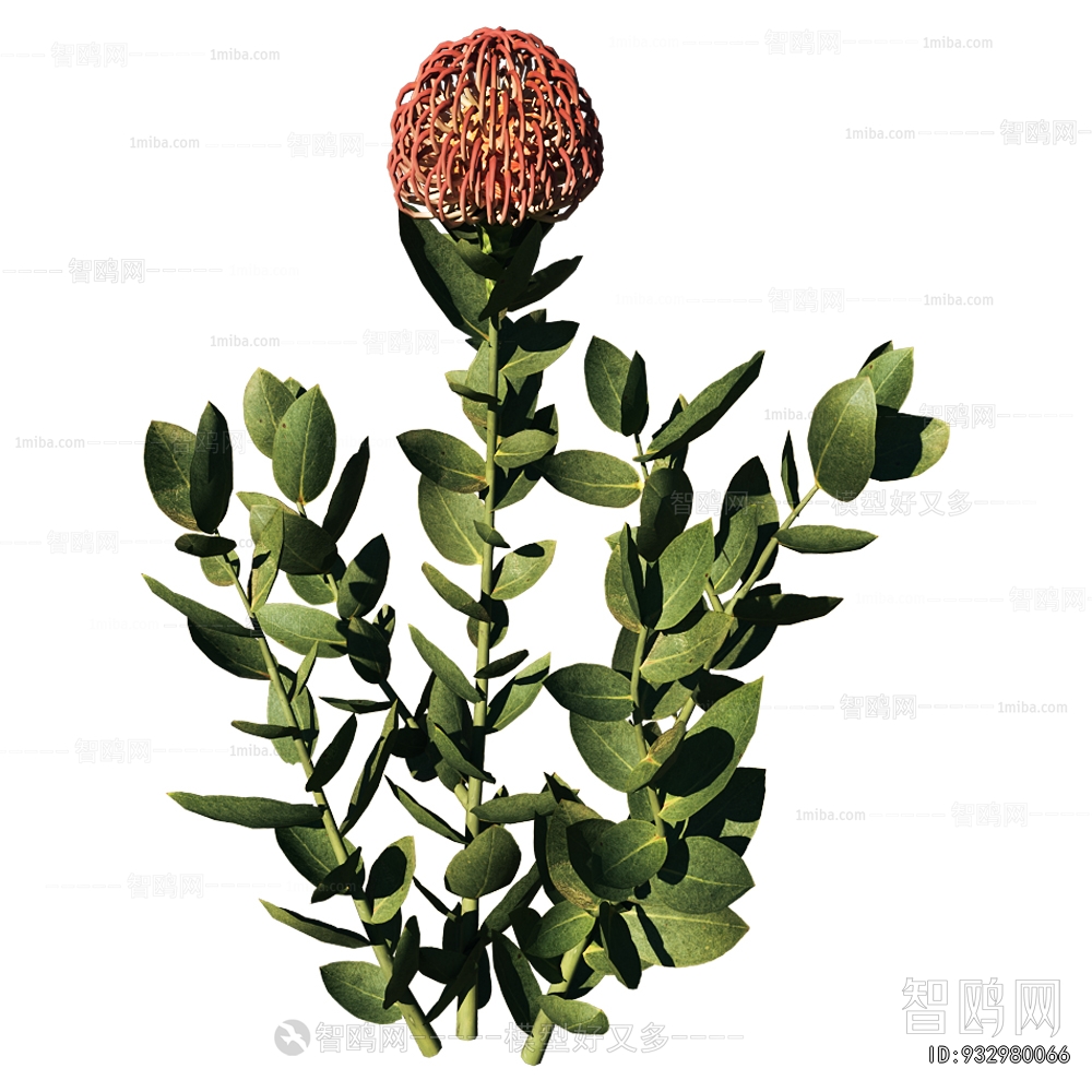 Modern Flowers And Grass