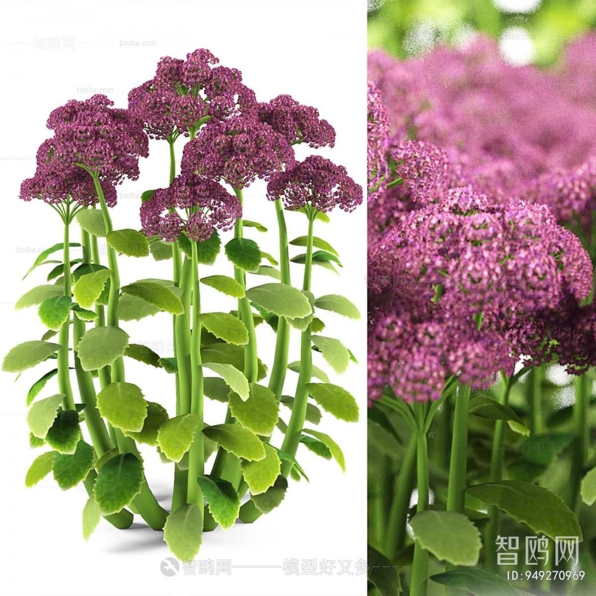 Modern Flowers And Grass