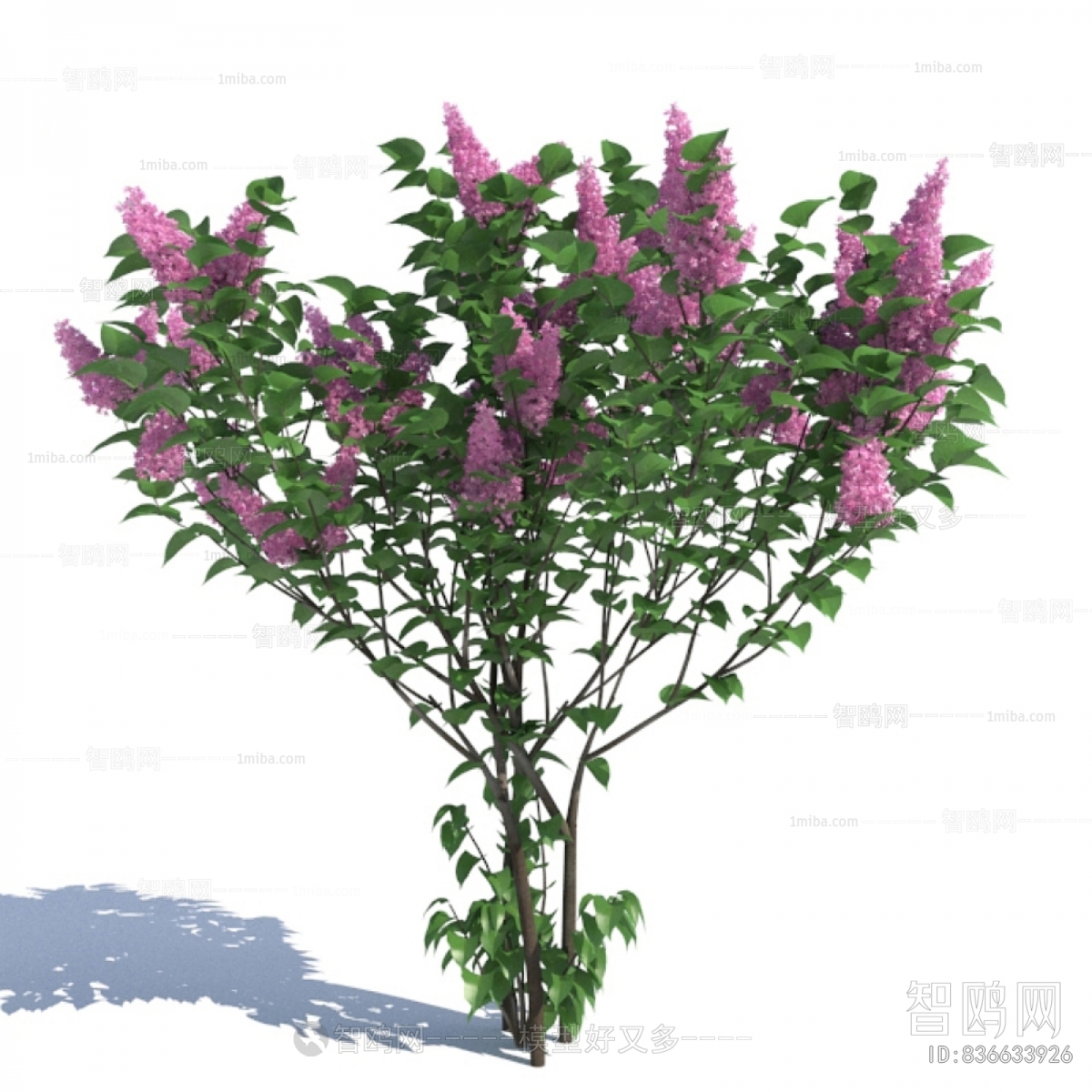 Modern Flowers And Grass