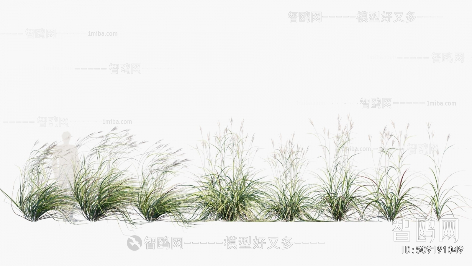 Modern Flowers And Grass