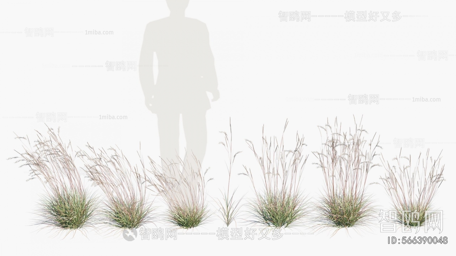 Modern Flowers And Grass