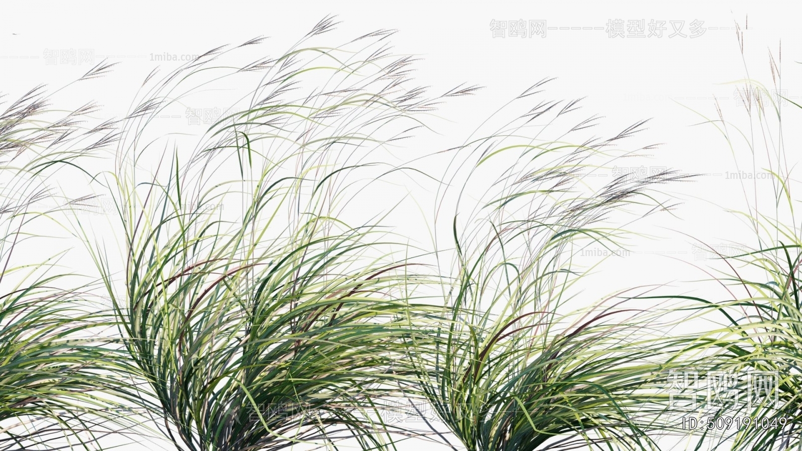 Modern Flowers And Grass