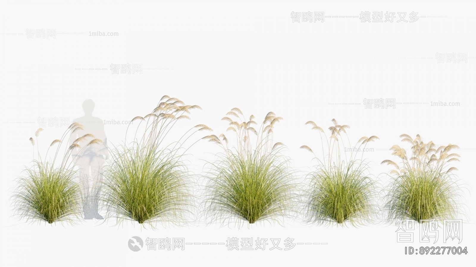 Modern Flowers And Grass