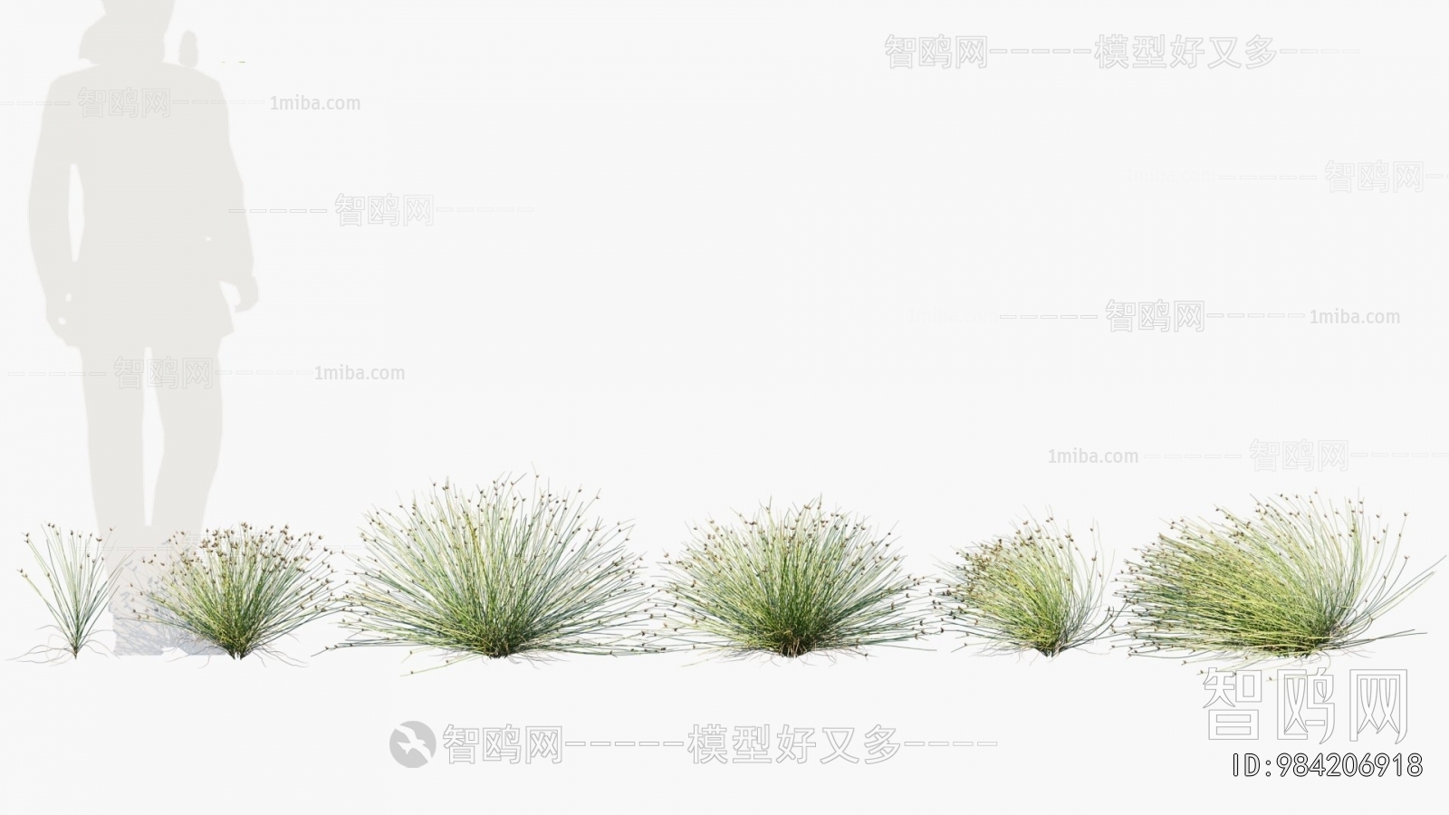 Modern Flowers And Grass