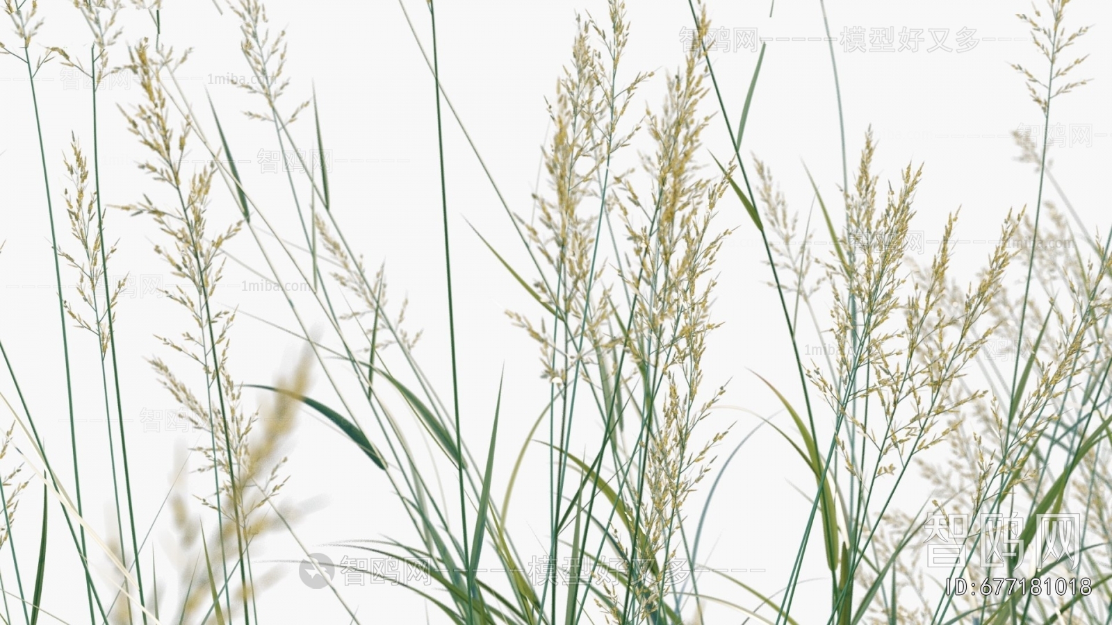 Modern Flowers And Grass