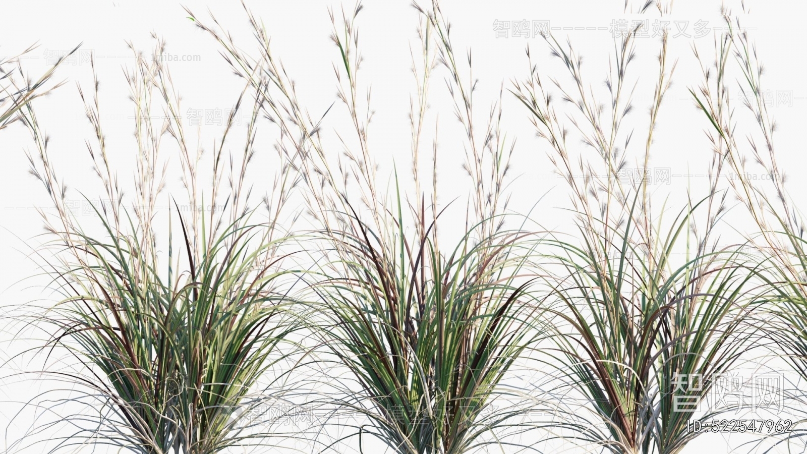 Modern Flowers And Grass