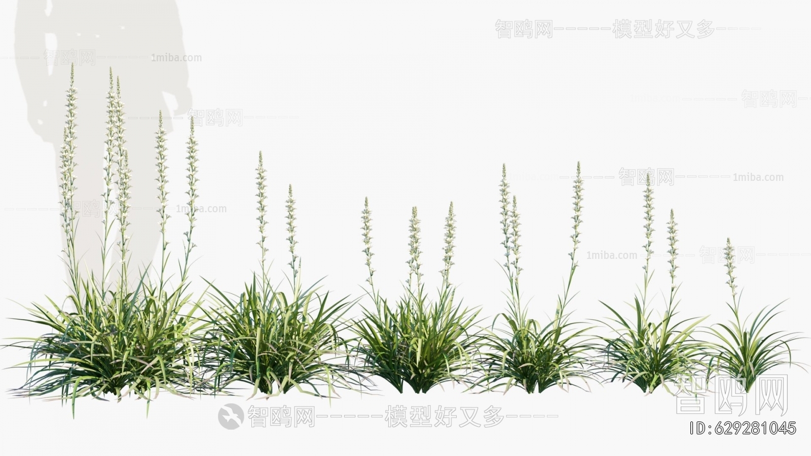 Modern Flowers And Grass