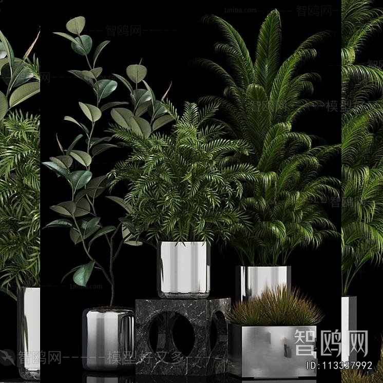 Modern Ground Green Plant Potted Plants