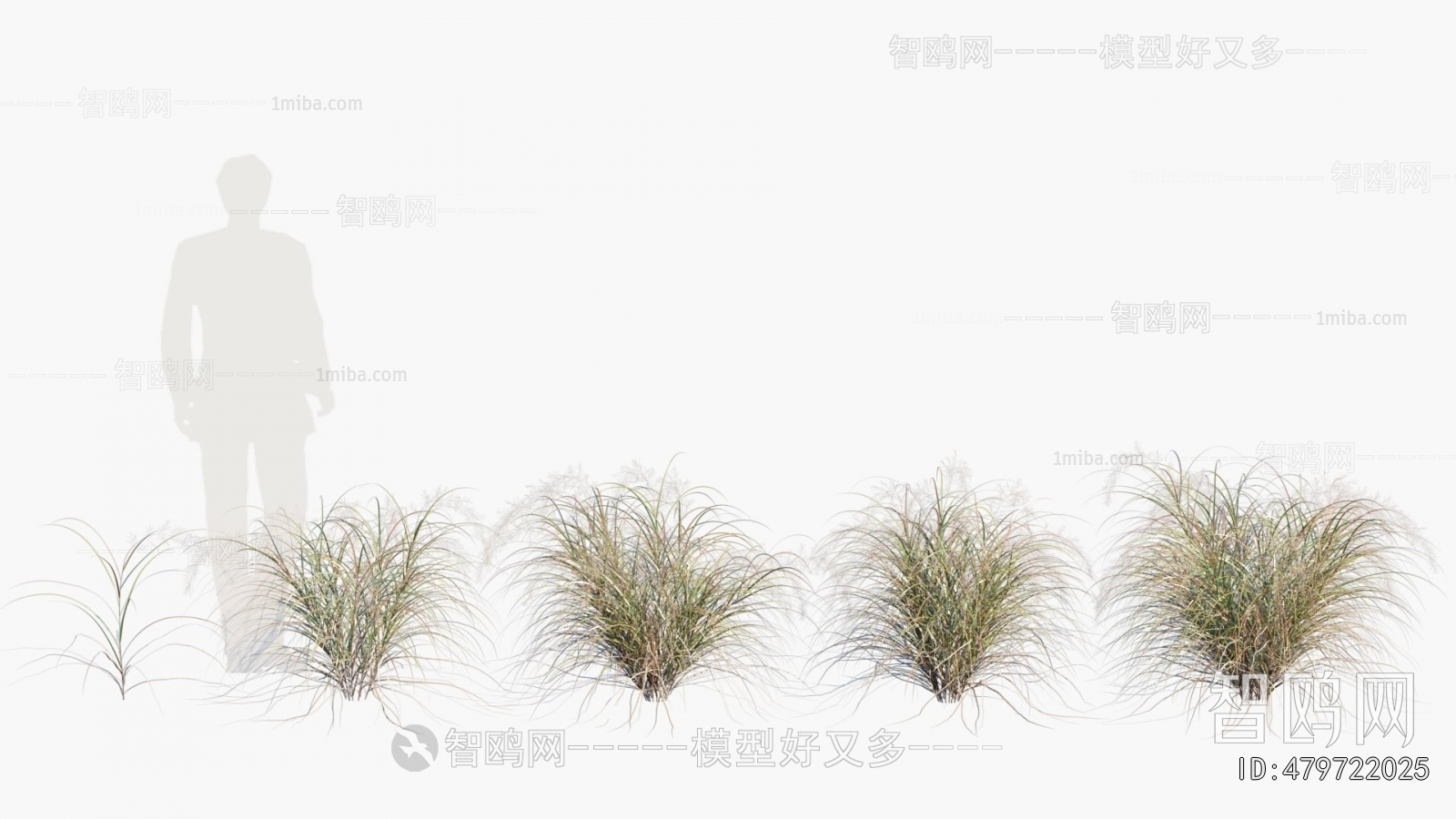 Modern Flowers And Grass