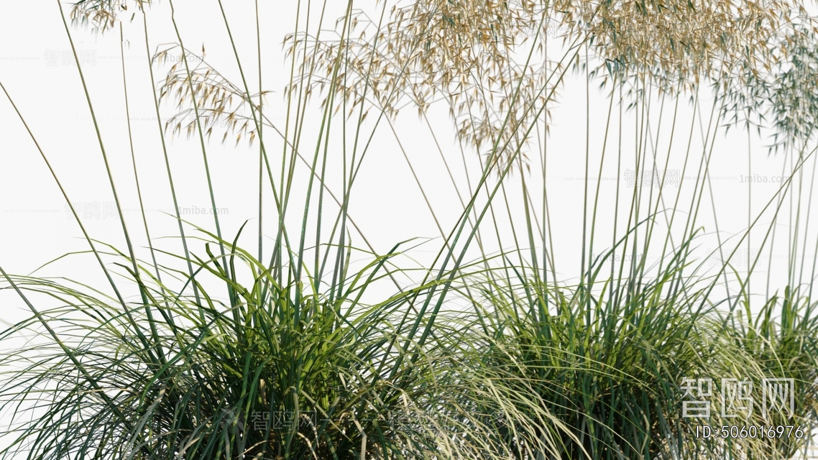 Modern Flowers And Grass