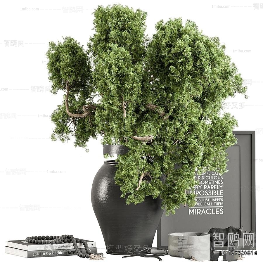 Modern Desktop Plant