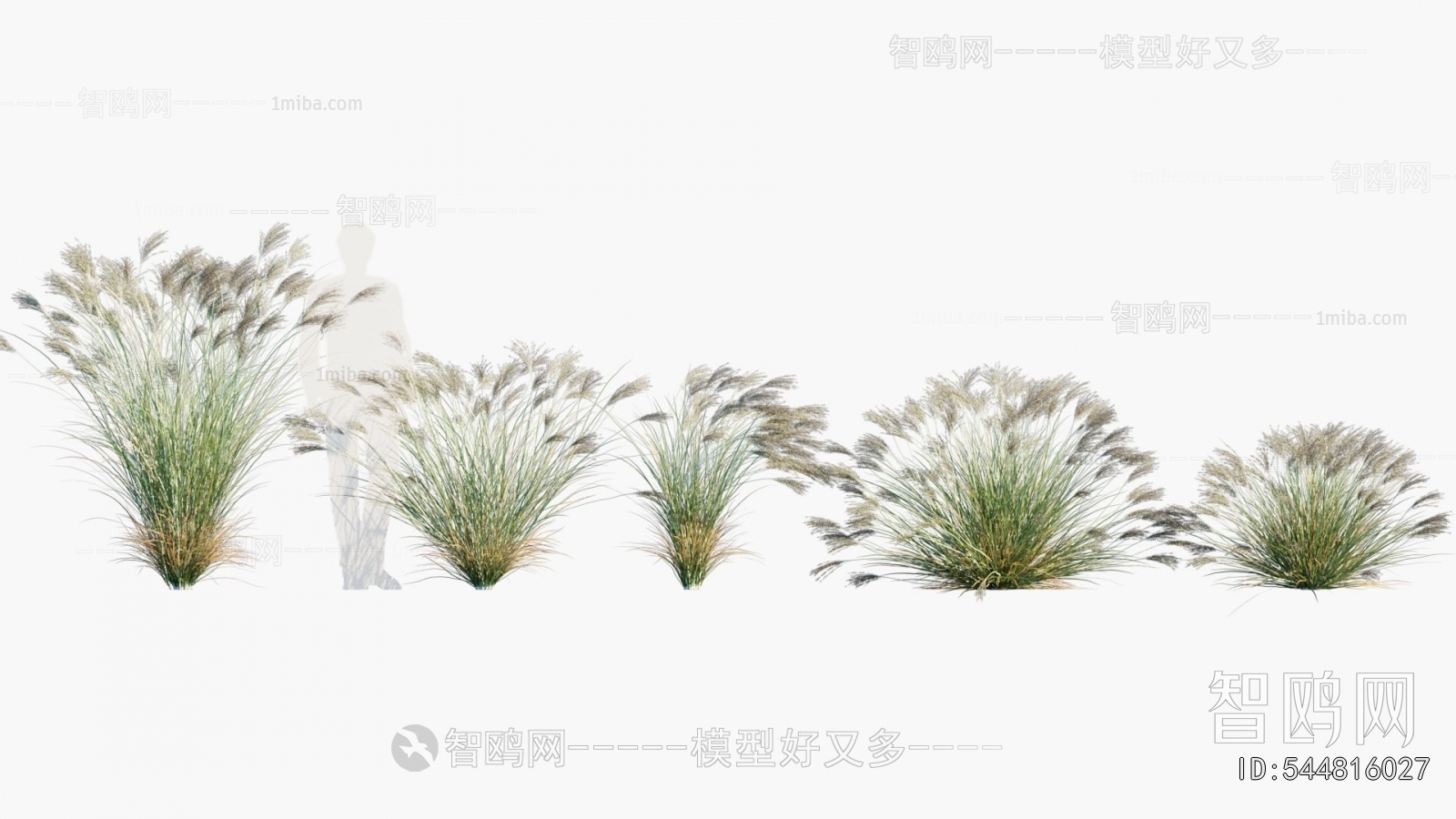 Modern Flowers And Grass