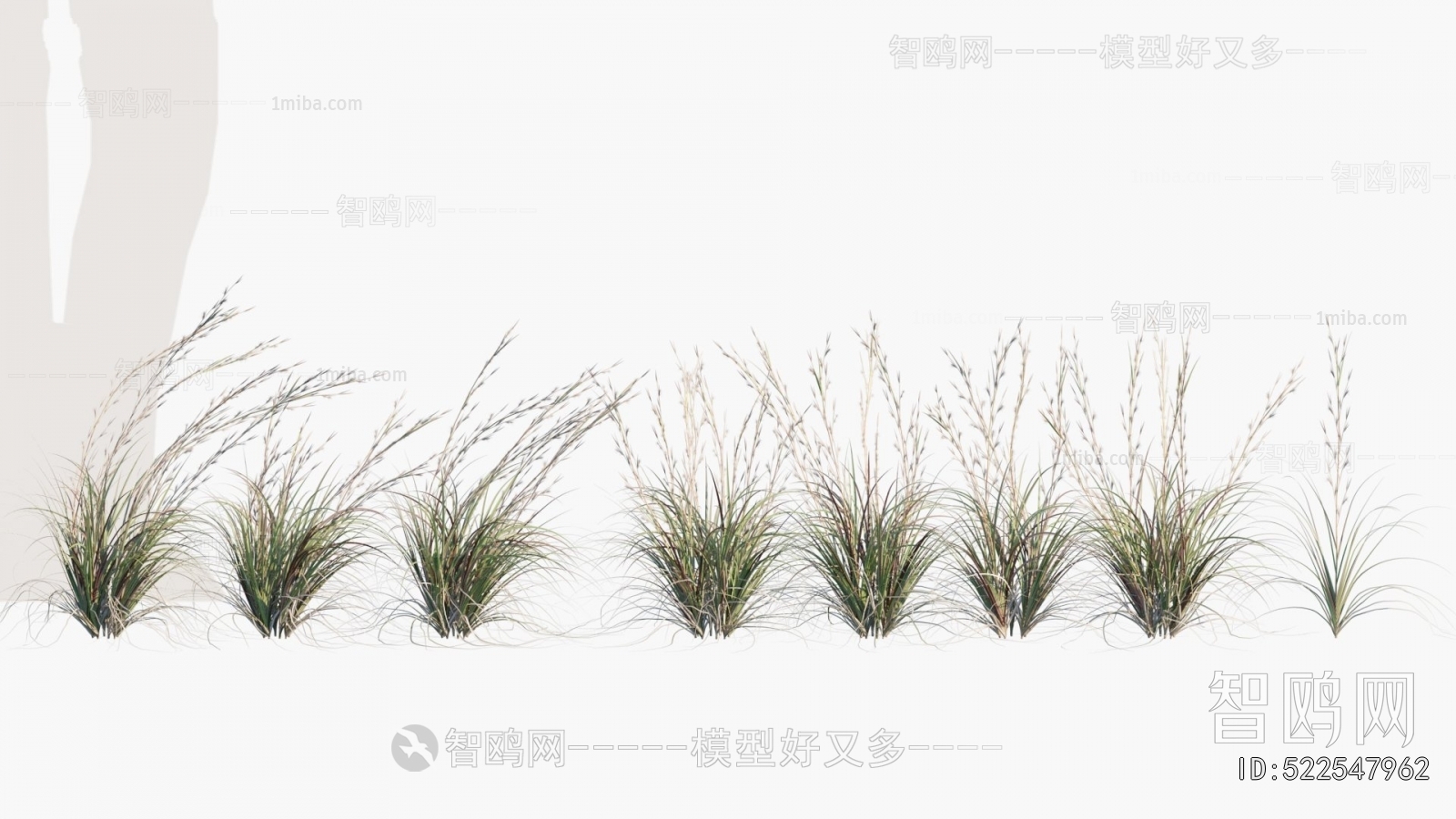 Modern Flowers And Grass