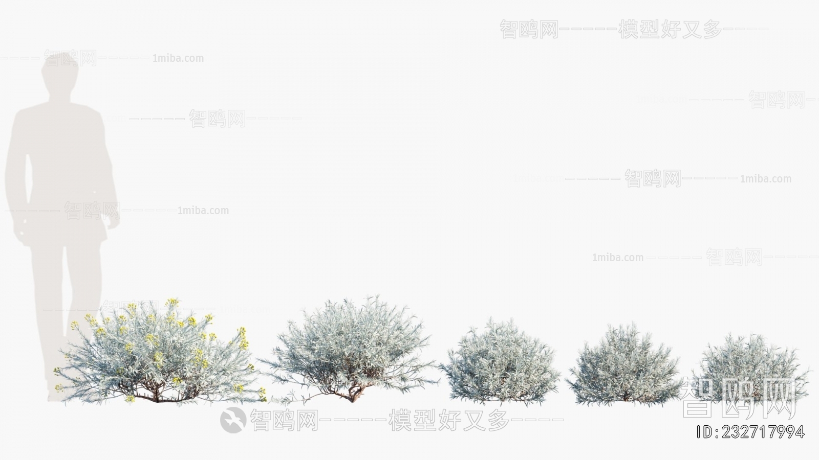 Modern Flowers And Grass