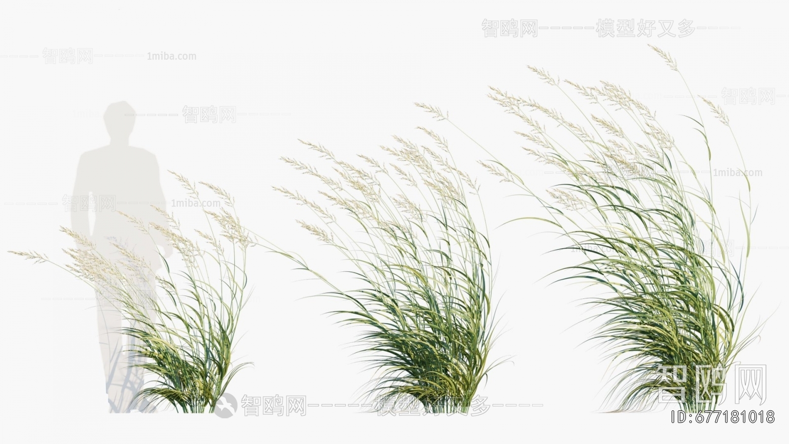 Modern Flowers And Grass