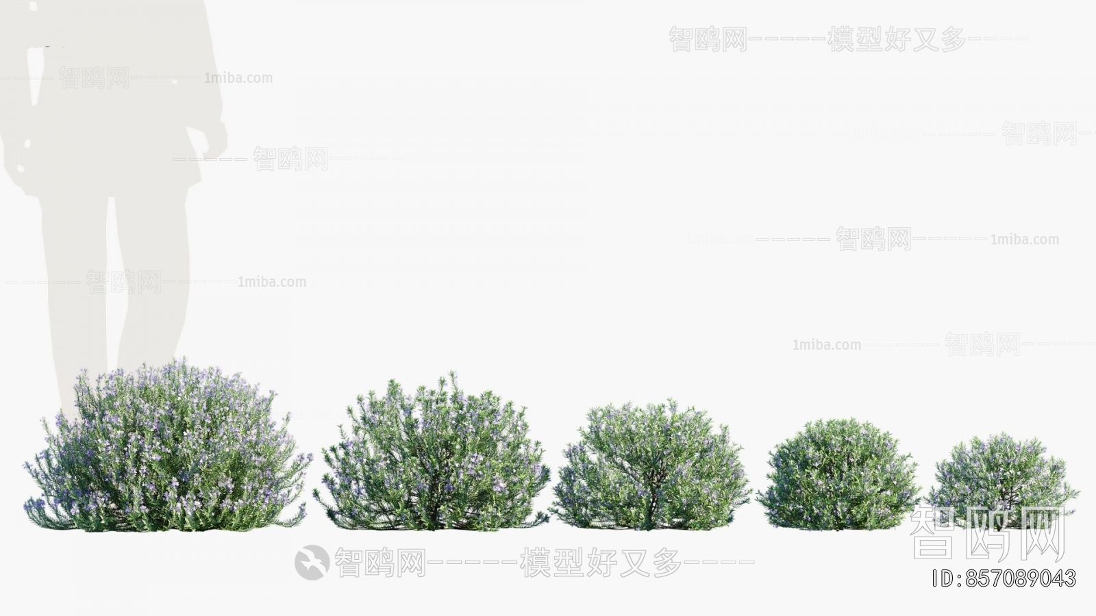 Modern Shrubbery