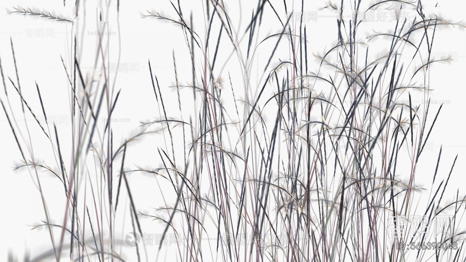 Modern Flowers And Grass