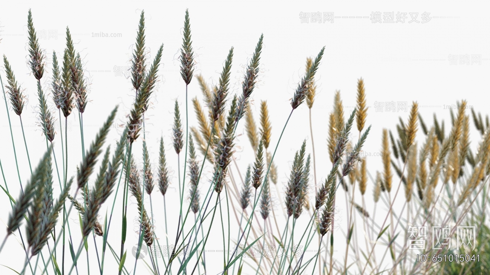 Modern Flowers And Grass