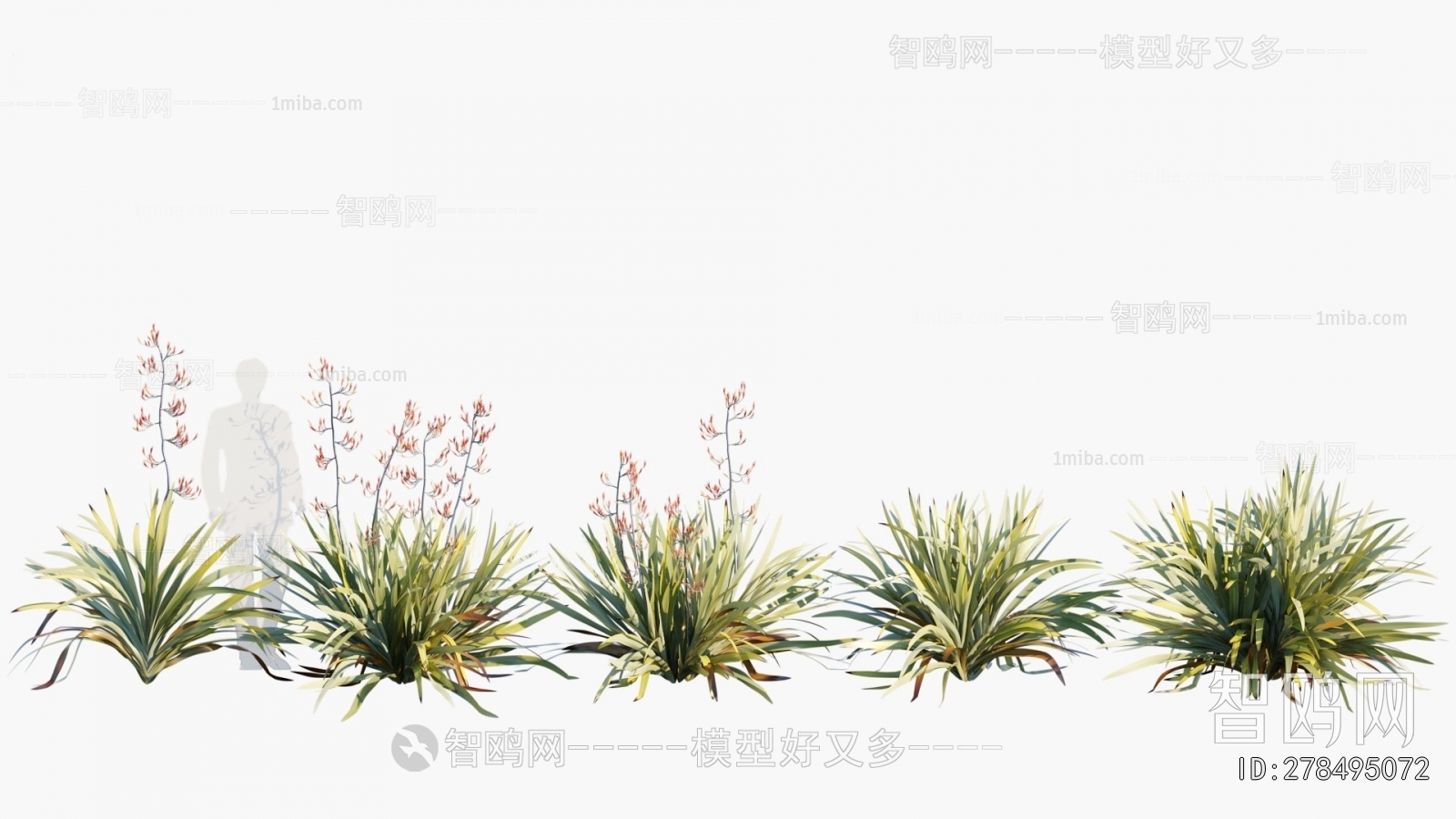 Modern Flowers And Grass