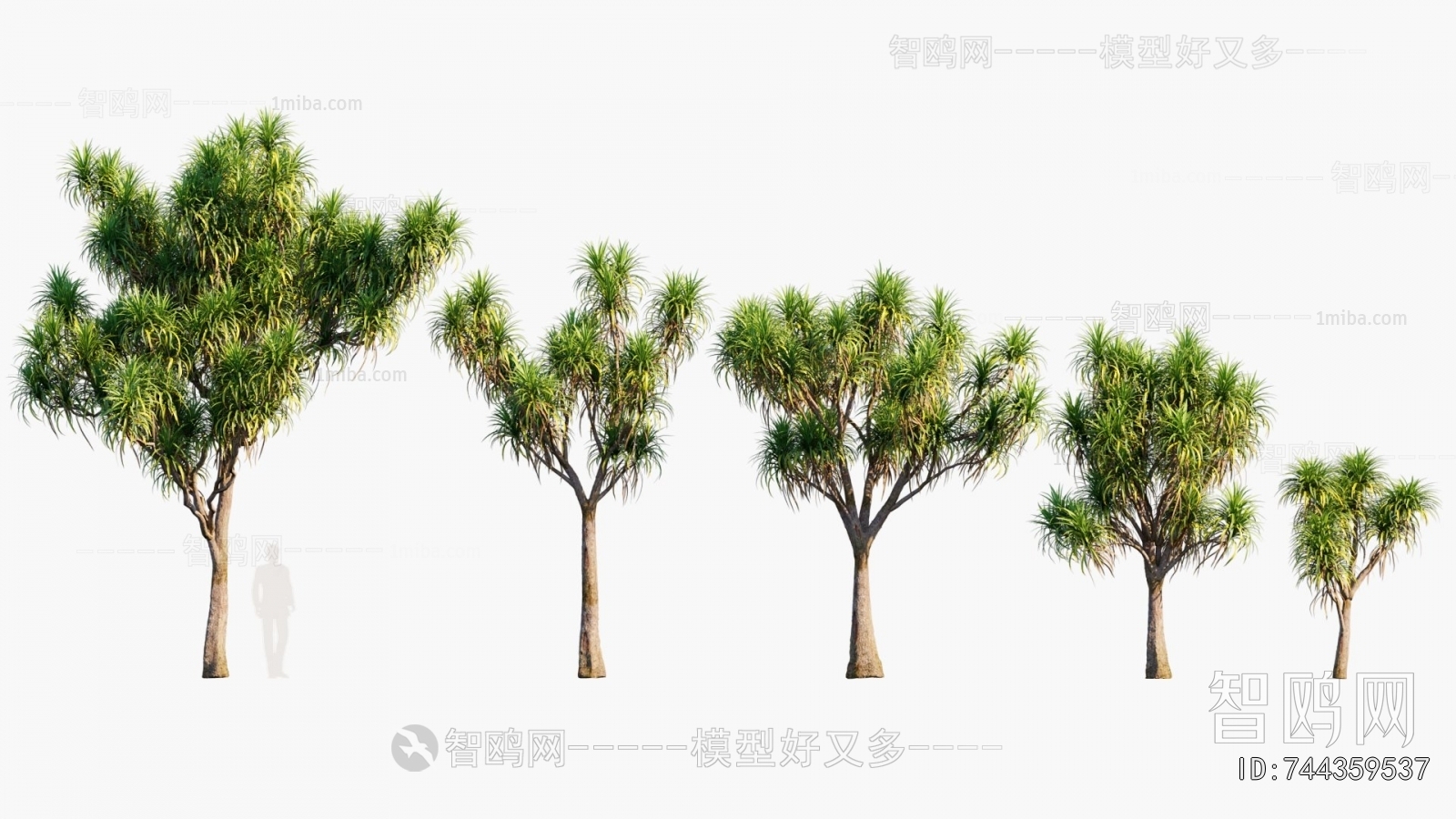 Modern Tree