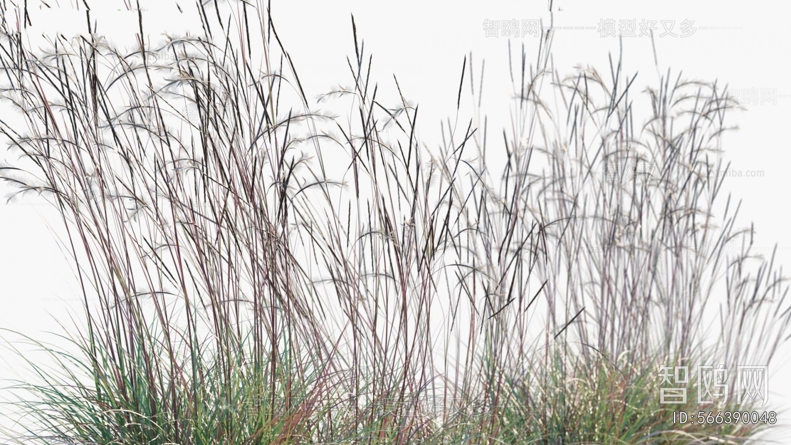 Modern Flowers And Grass