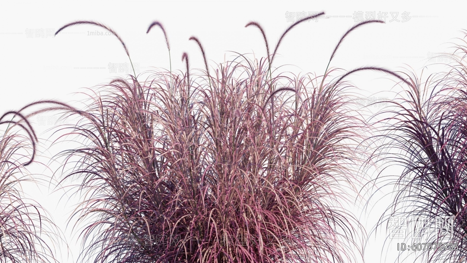 Modern Flowers And Grass